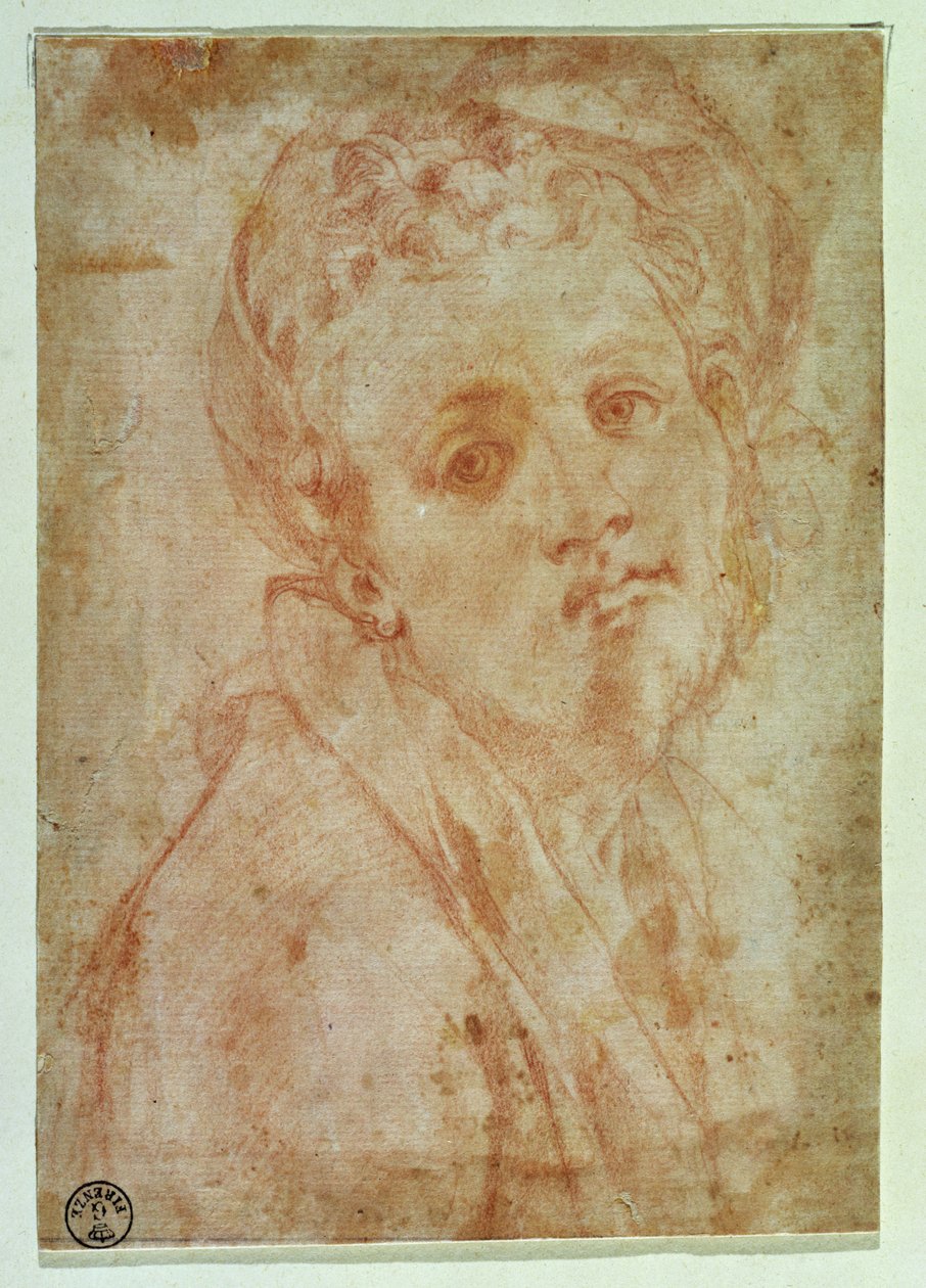 Autorretrato de Jacopo Pontormo