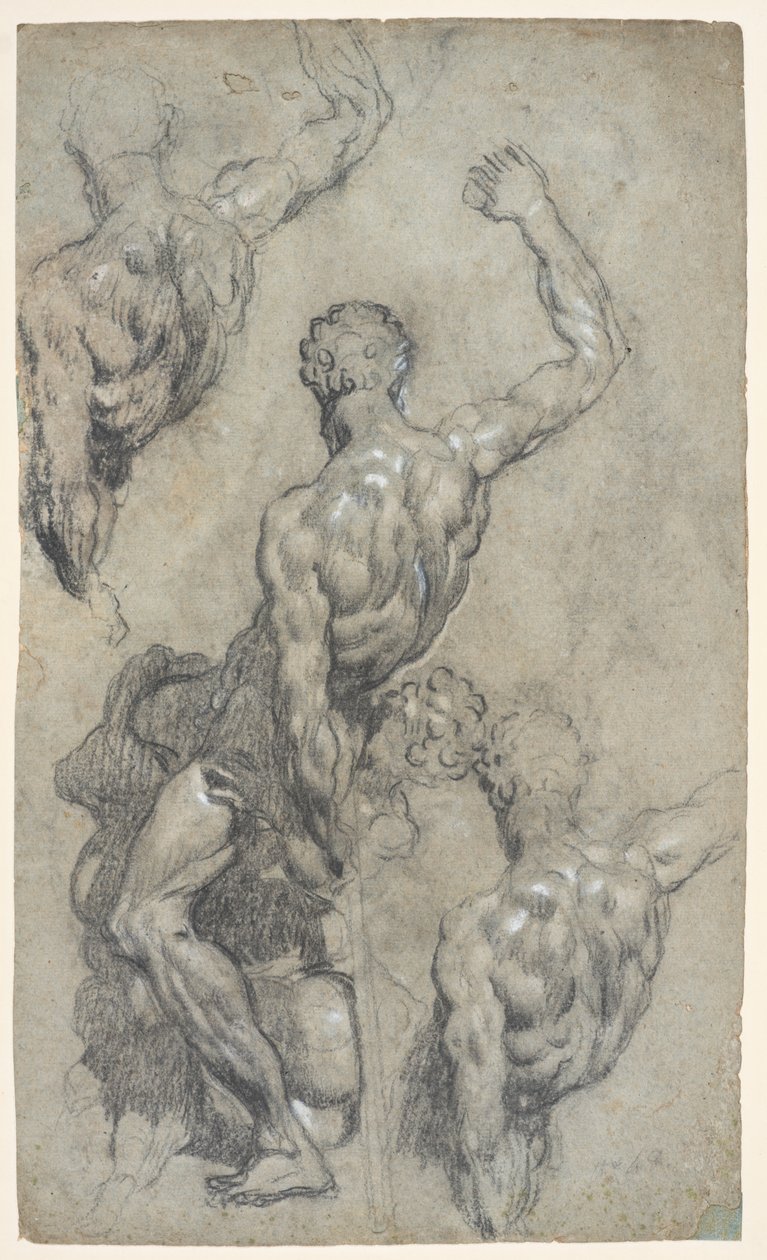 Estudios de "Sansón y los filisteos" de Miguel Ángel, c.1575-85 (tiza, carboncillo, gouache, papel) de Jacopo Robusti (workshop of) Tintoretto