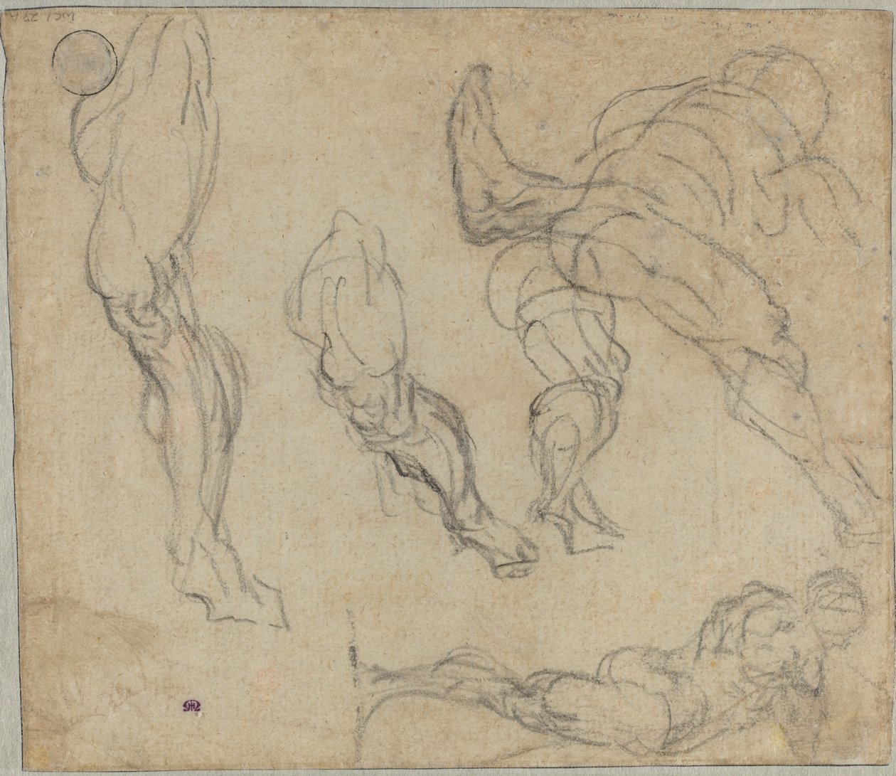 Figuras y Piernas, 1575-80 de Jacopo Robusti Tintoretto