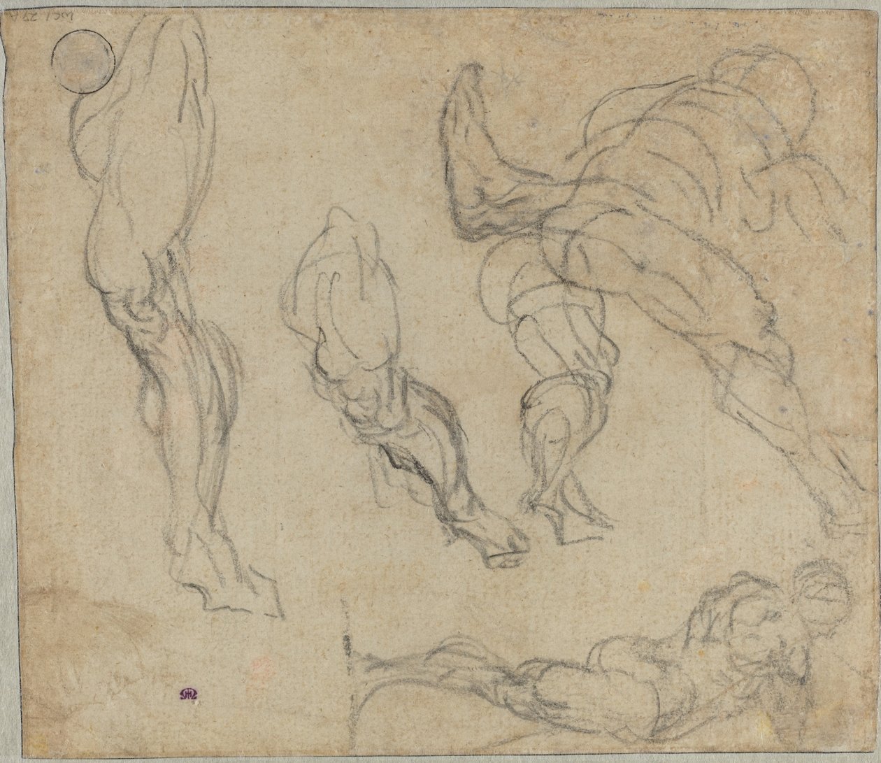 Figuras y Piernas (verso) de Jacopo Tintoretto