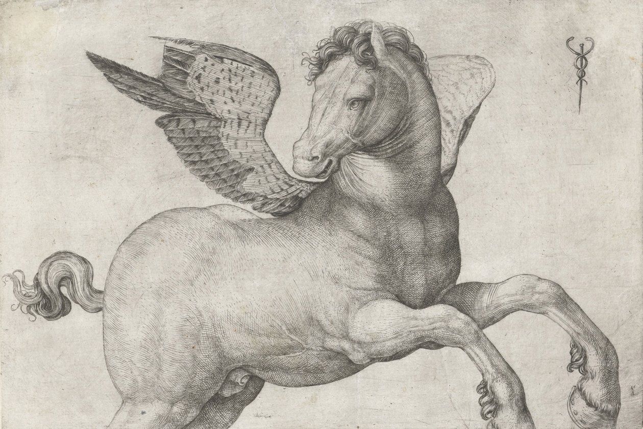Pegaso, 1509-16 de Jacopo de Barbari