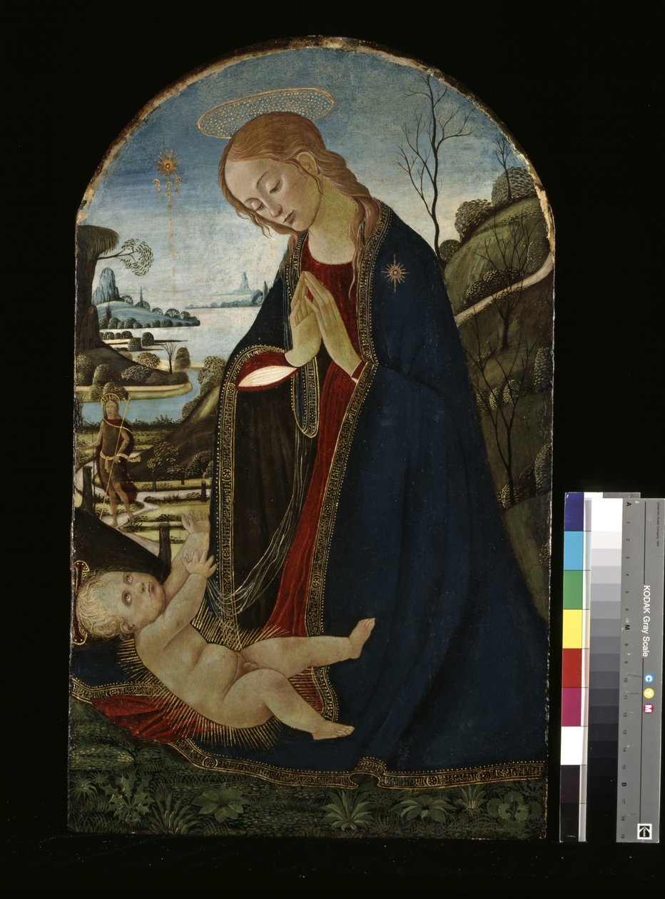 Virgen adorando al Niño Jesús (óleo sobre madera) de Jacopo del Sellaio