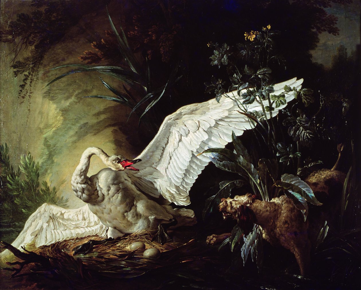 Un perro de agua atacando a un cisne en su nido, 1740 de Jacques Charles Oudry