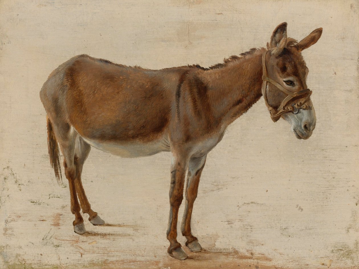 Un burro de Jacques Laurent Agasse