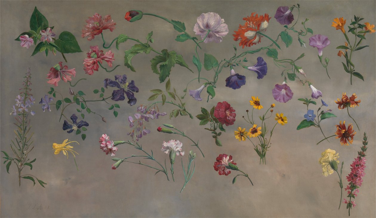 Estudios de flores de Jacques Laurent Agasse