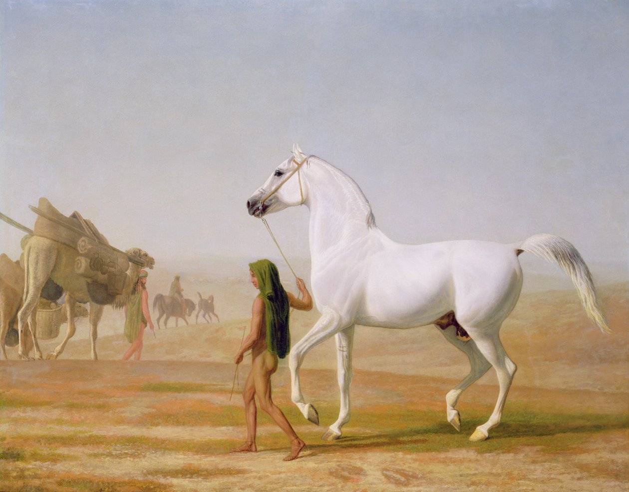 El árabe gris de Wellesley llevado por el desierto, c.1810 de Jacques Laurent Agasse