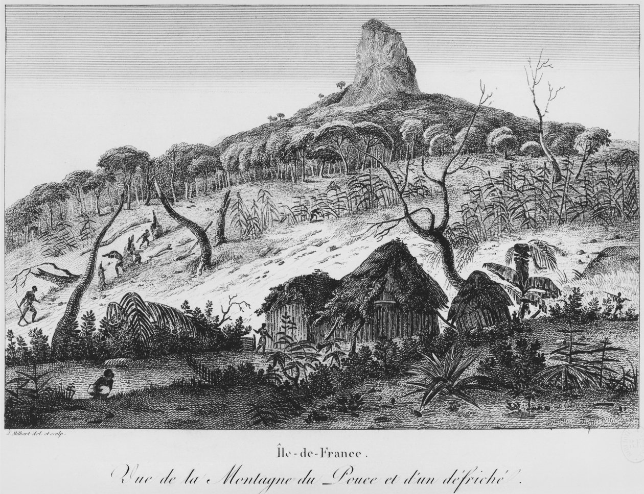 Vista de la montaña Pouce y el desmonte del bosque, Mauricio, ilustración de 