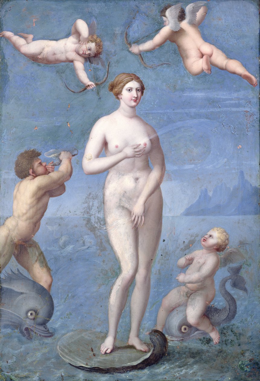 Venus de Jacques Stella
