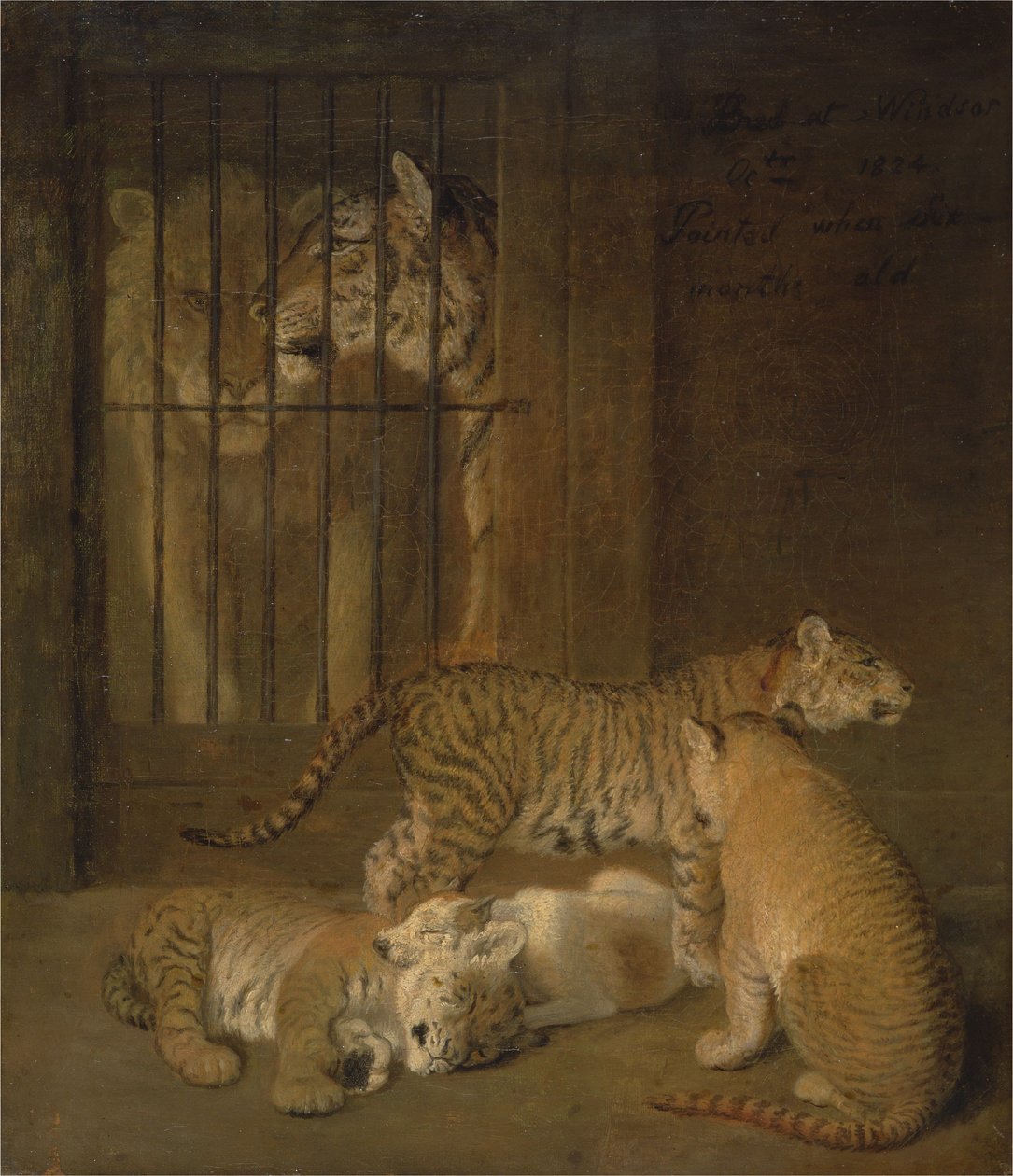 Grupo de cachorros criados entre un león y una tigresa de Jacques-Laurent Agasse