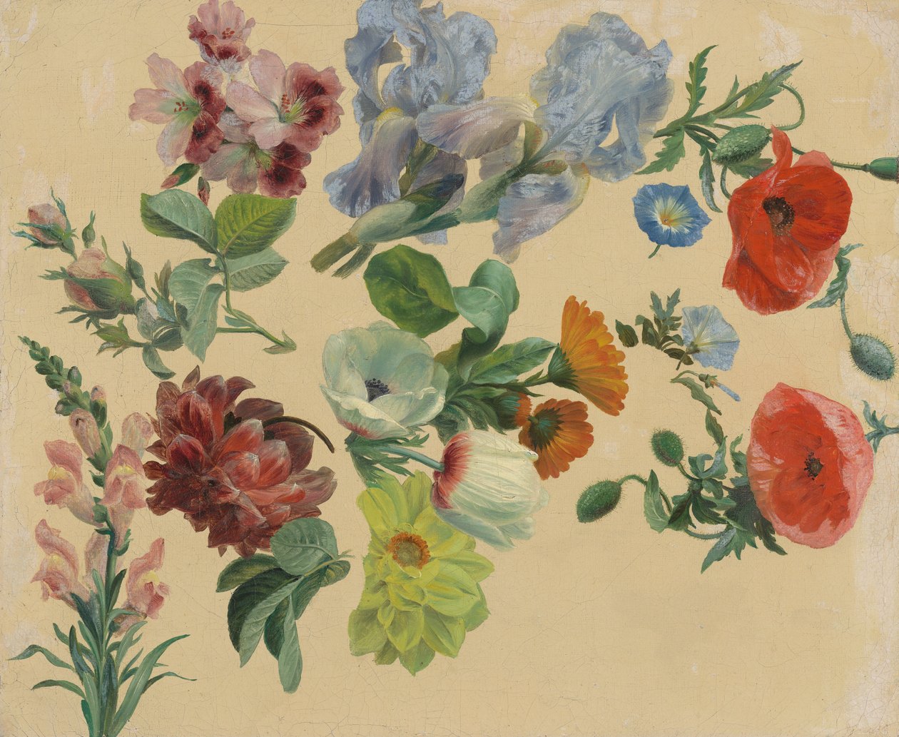 Estudios sobre las flores de verano de Jacques-Laurent Agasse