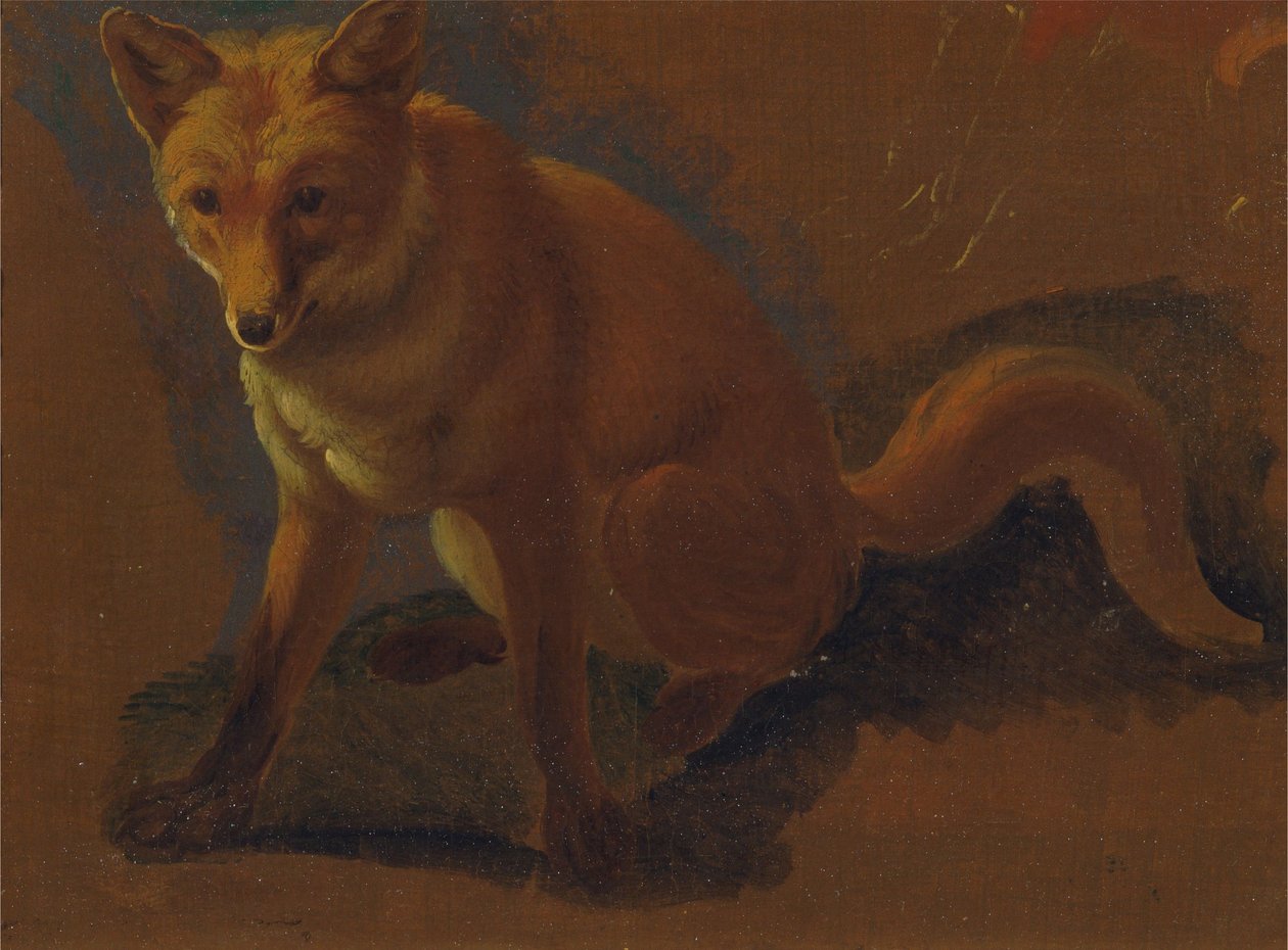 Estudio de un zorro de Jacques-Laurent Agasse