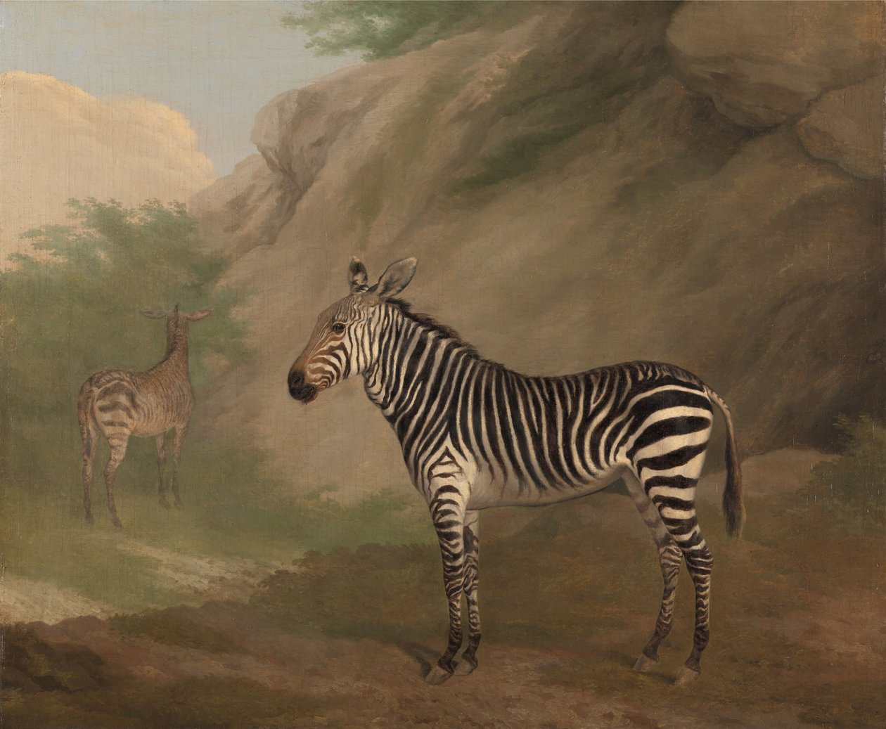 Cebra de Jacques-Laurent Agasse