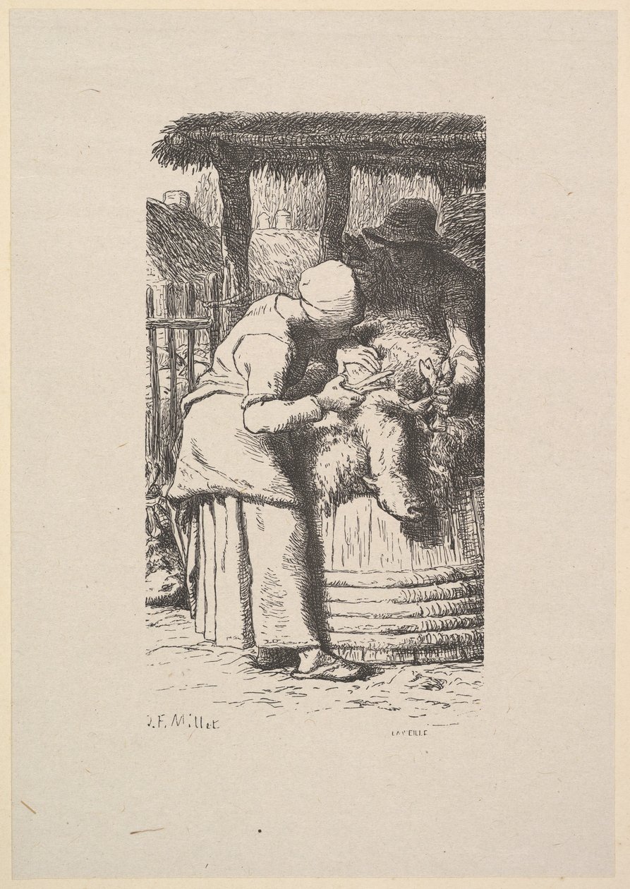 Esquila de ovejas de Jacques Adrien Lavieille