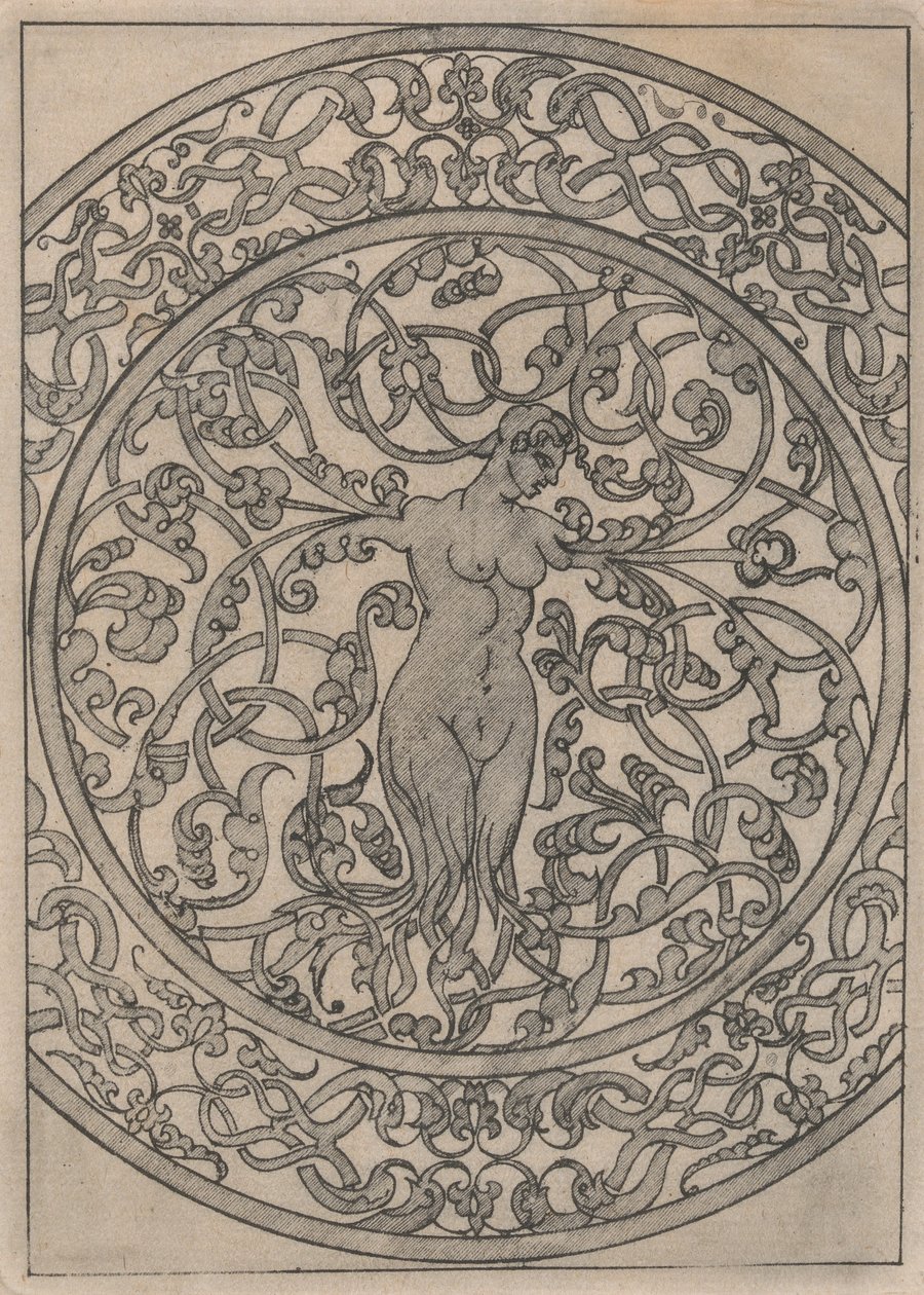 Copias del 