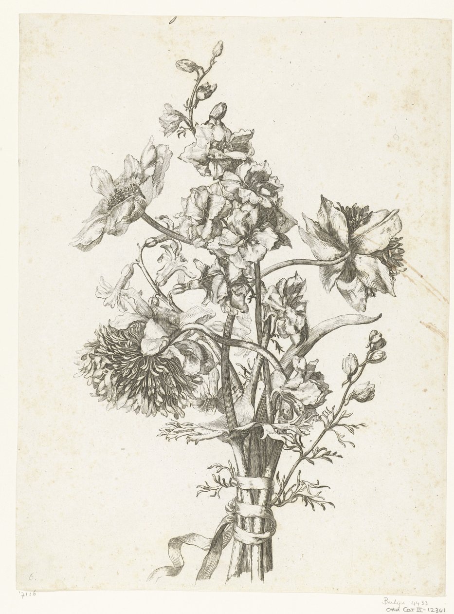 Ramo con anémonas, un jacinto y espuelas de caballero Diverse Fleurs mises en Boucquets (título de la serie) de Jacques Bailly (I)