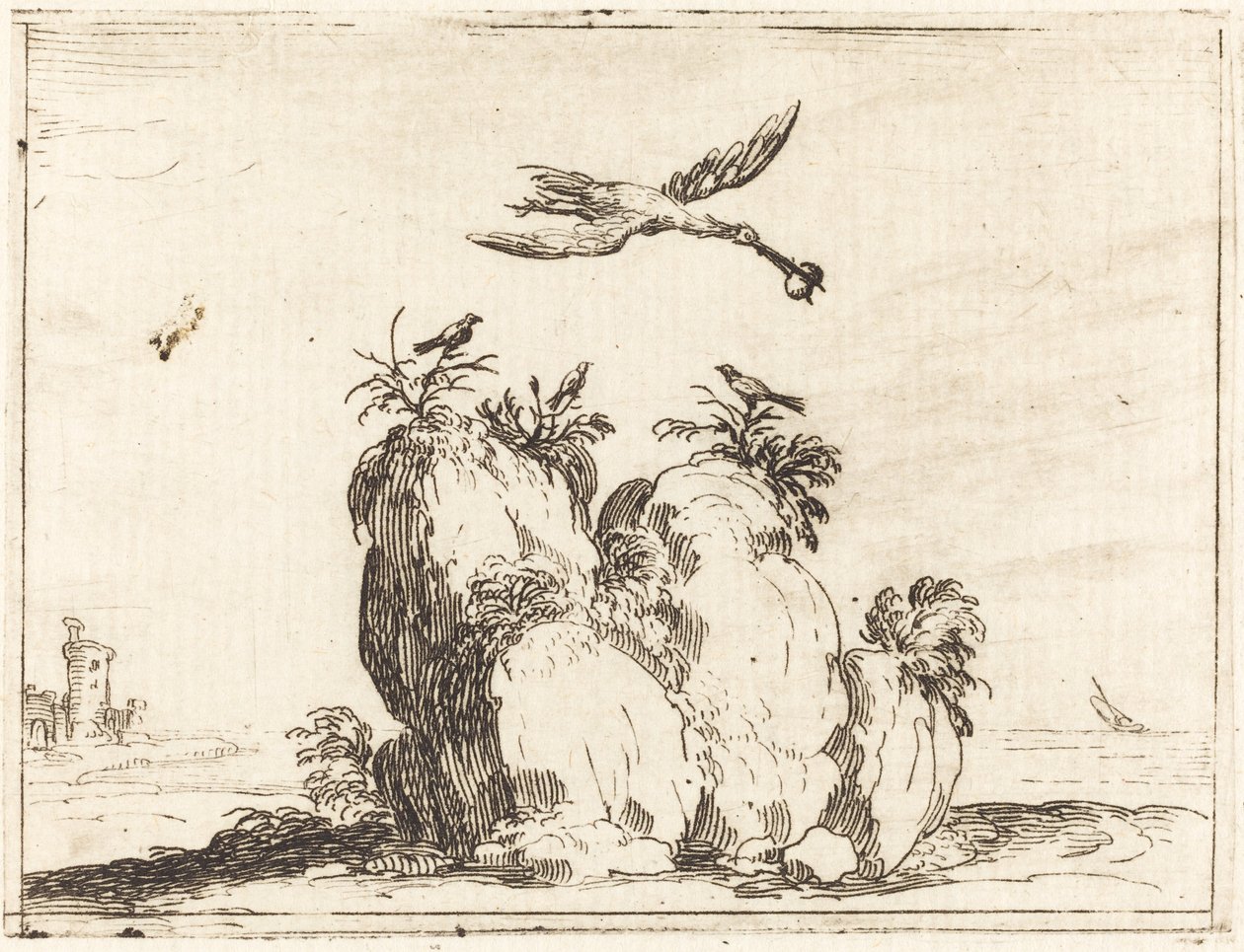 Grulla volando de Jacques Callot