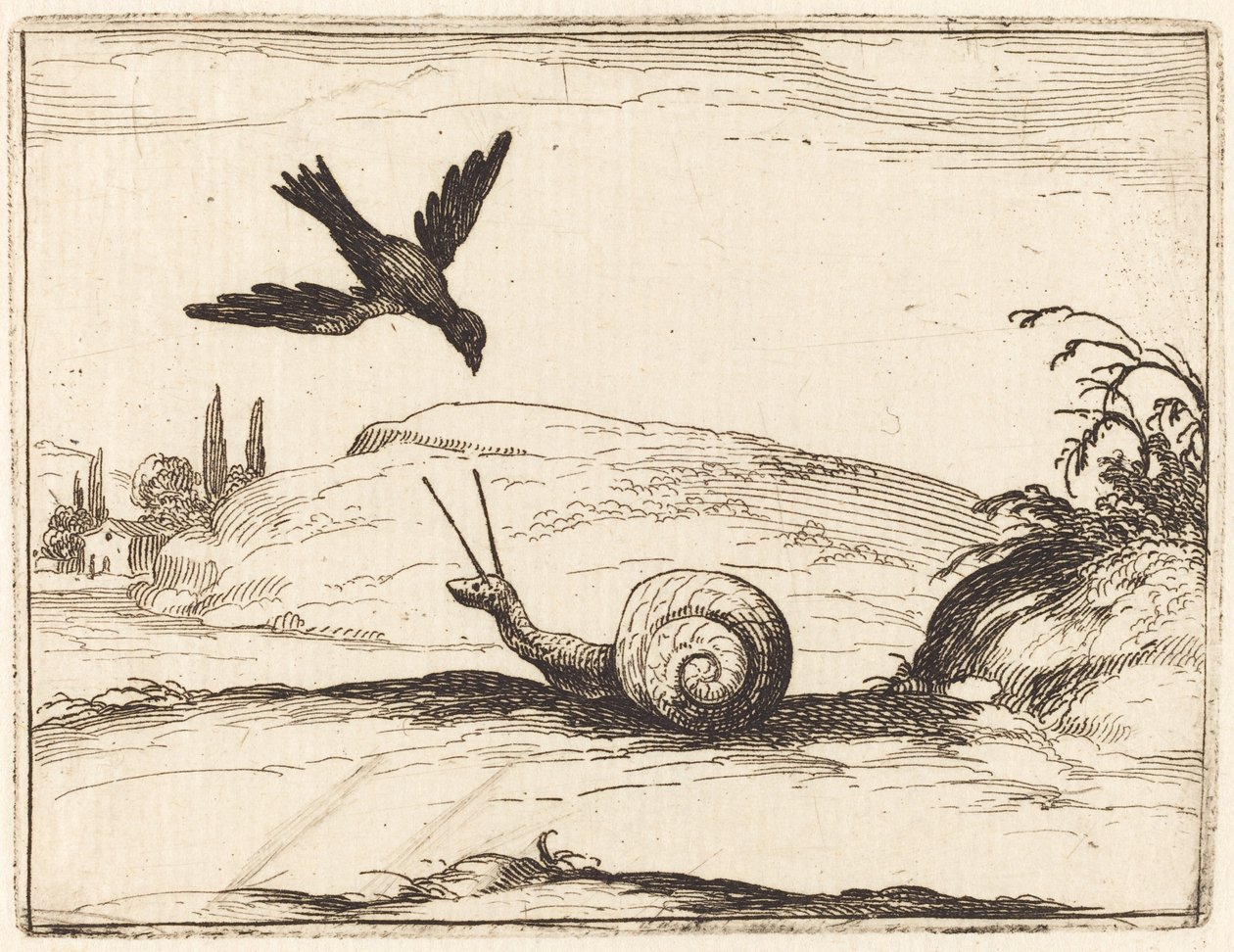 Cuervo y Caracol de Jacques Callot