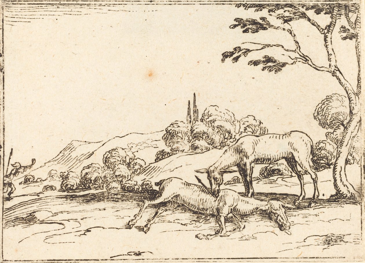 Cierva llorando a su potrillo de Jacques Callot
