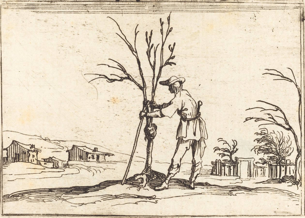Jardinero podando un árbol de Jacques Callot