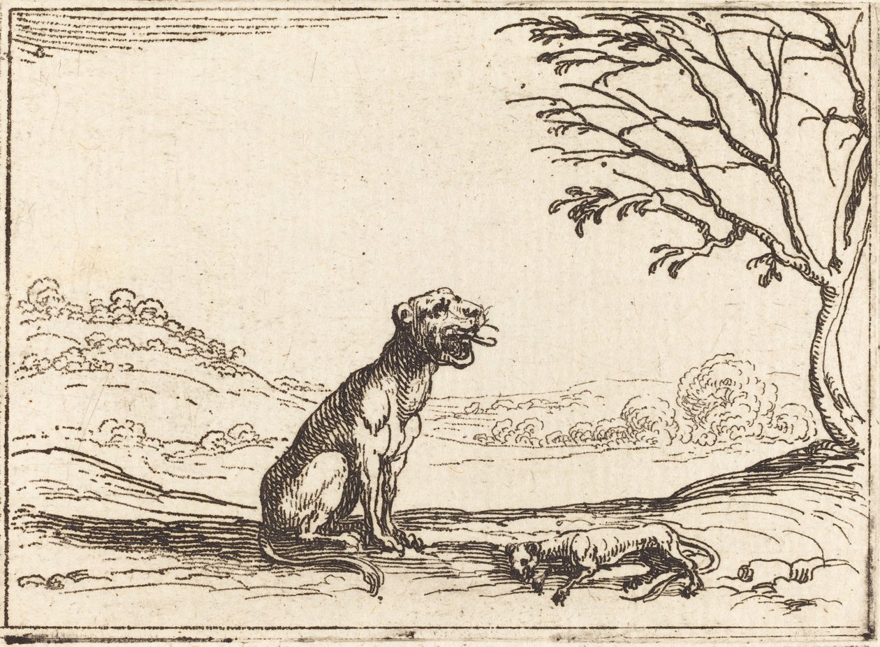 Leona llorando a su cachorro de Jacques Callot