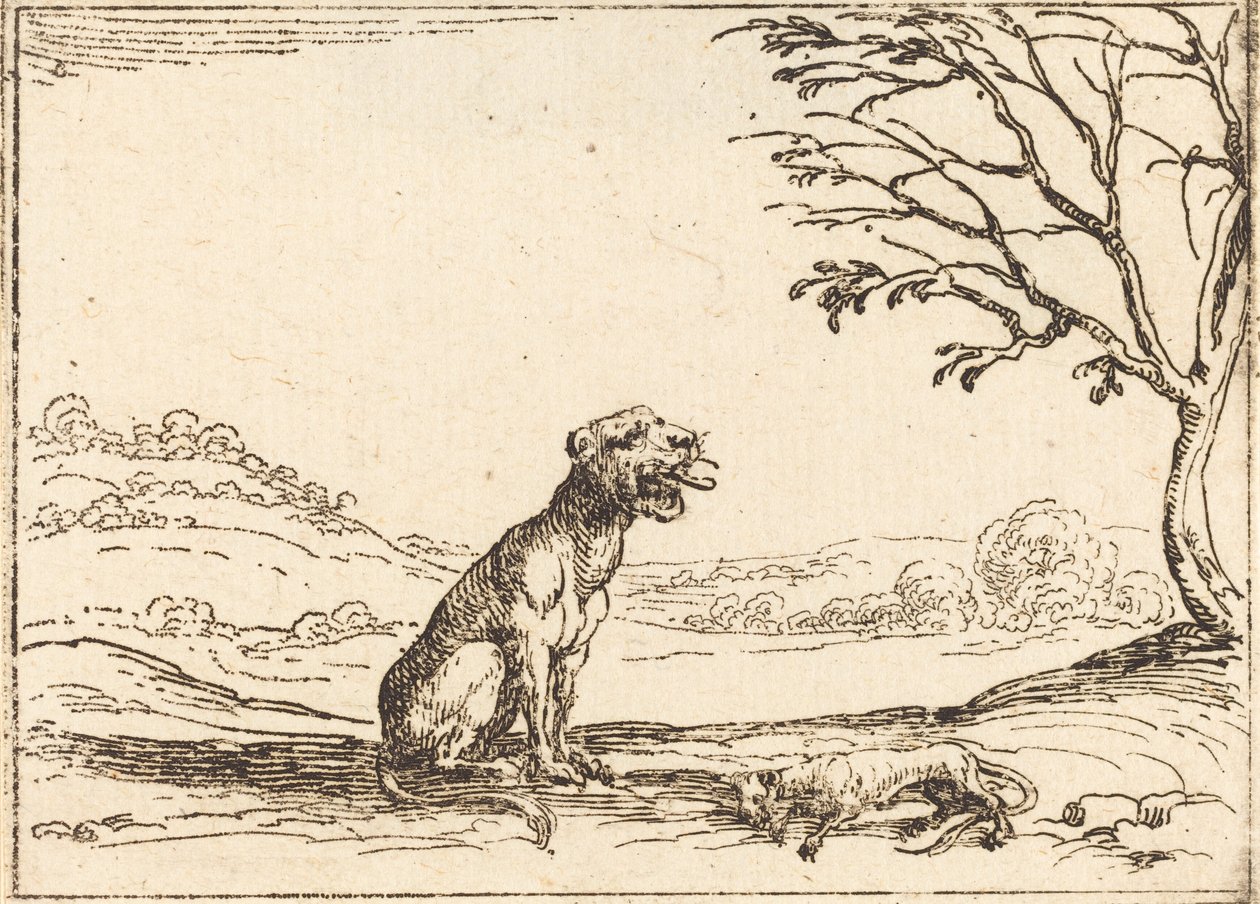 Leona llorando a su cachorro de Jacques Callot