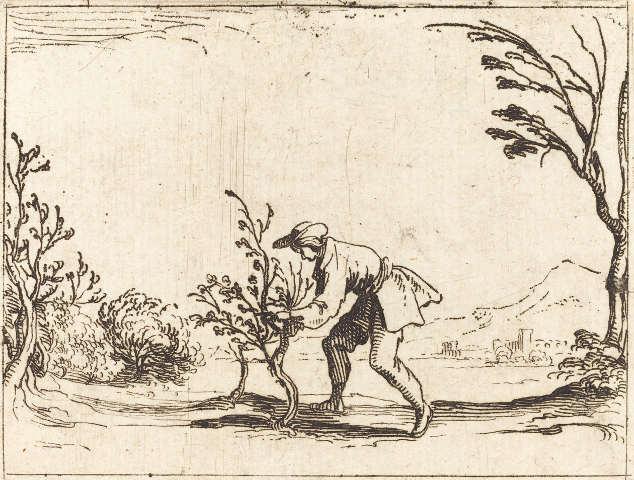 Hombre cortando un árbol de bálsamo de Jacques Callot