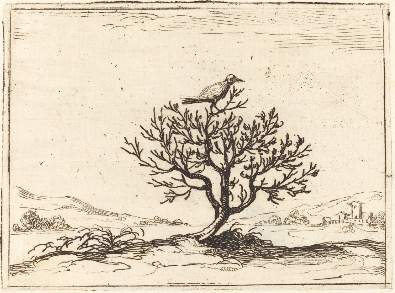 Ruiseñor en un arbusto, 1628 de Jacques Callot
