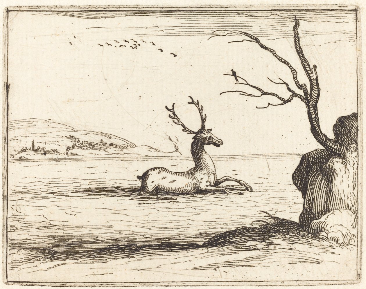 Ciervo en el agua, 1628 de Jacques Callot