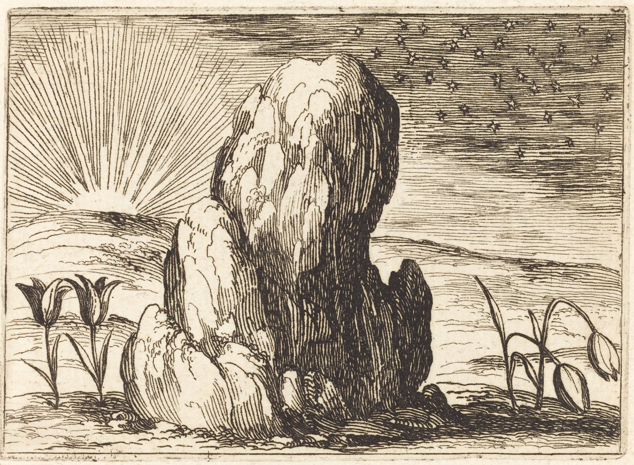 Los tulipanes y el sol de Jacques Callot
