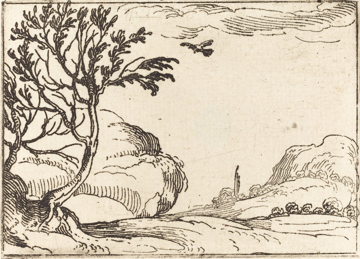 Tórtola volando en el desierto de Jacques Callot