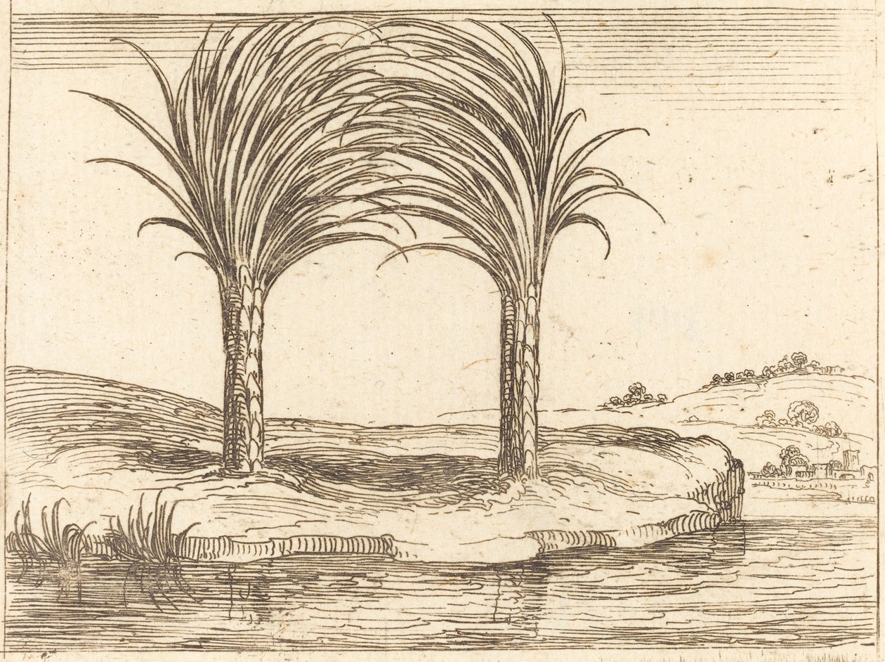Dos palmeras de Jacques Callot