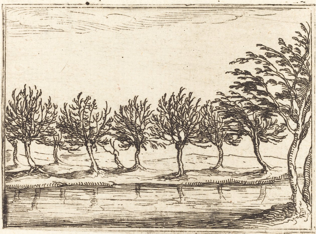 Sauces al borde del agua de Jacques Callot
