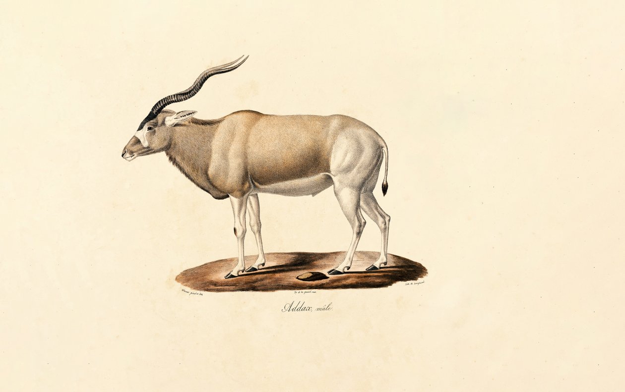  de Jacques Christophe Werner