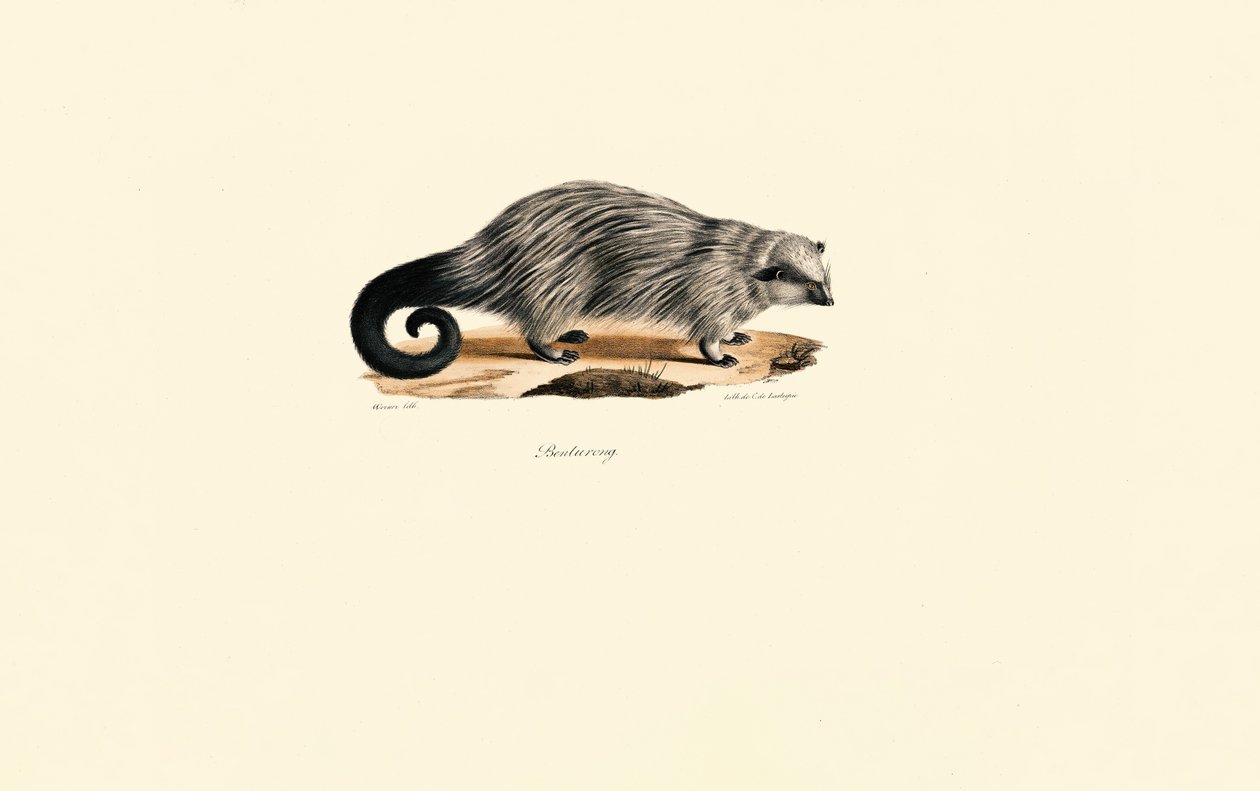  de Jacques Christophe Werner