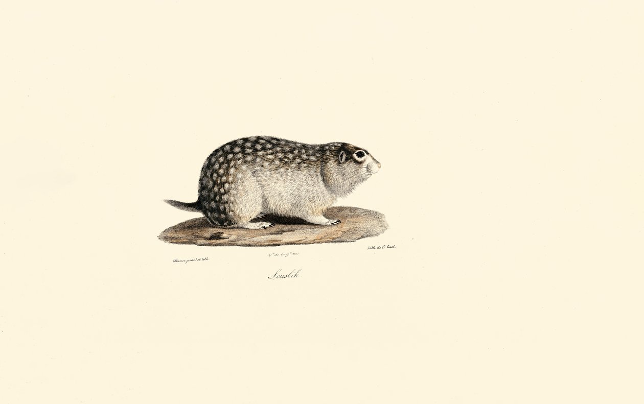  de Jacques Christophe Werner