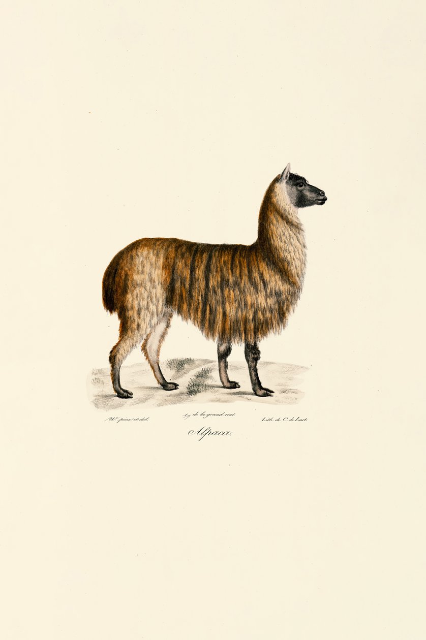  de Jacques Christophe Werner