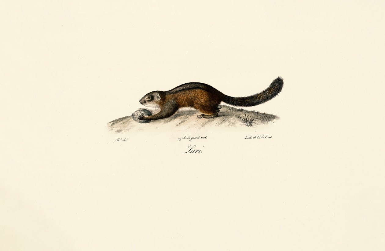  de Jacques Christophe Werner