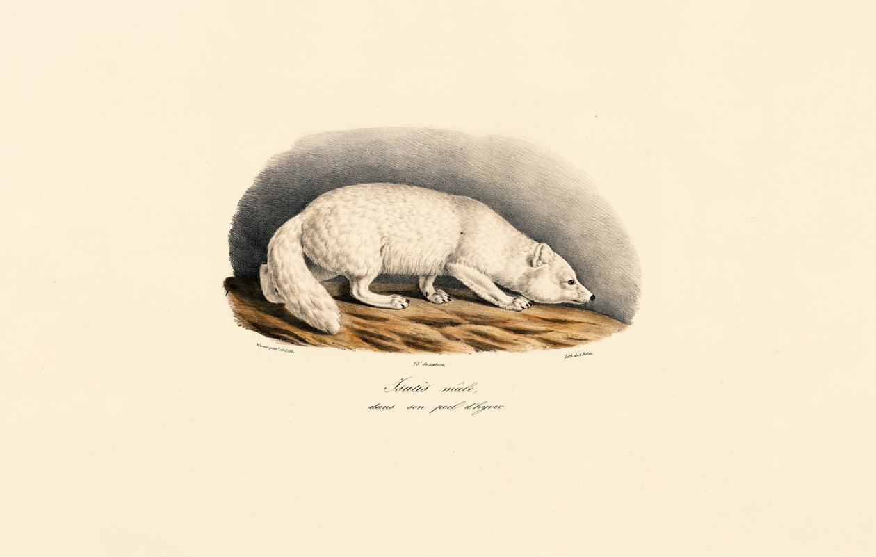  de Jacques Christophe Werner