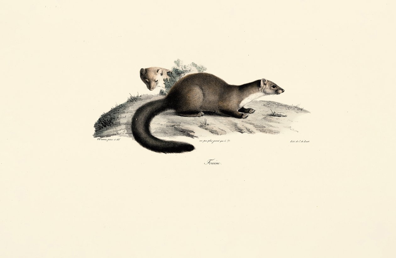  de Jacques Christophe Werner