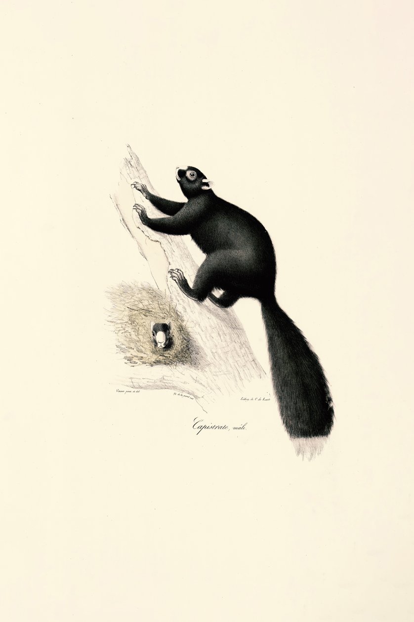  de Jacques Christophe Werner