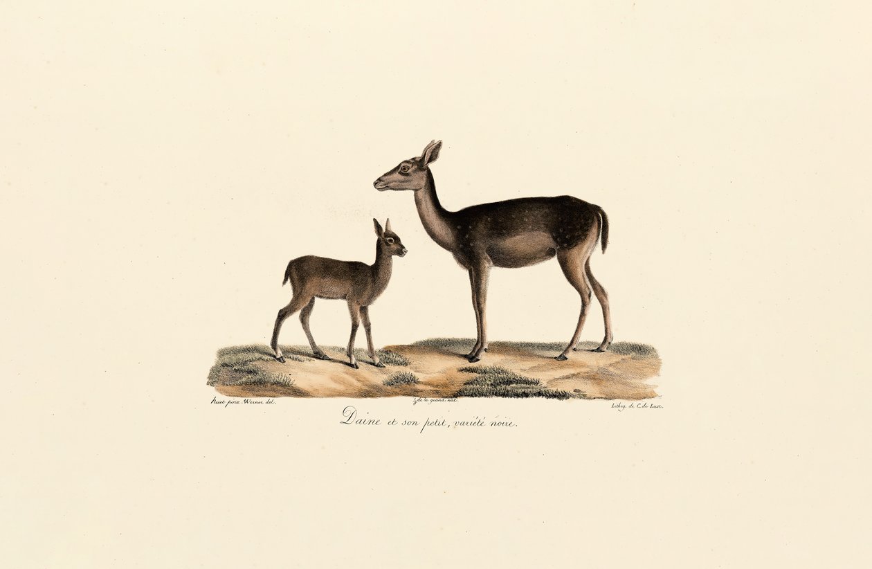  de Jacques Christophe Werner