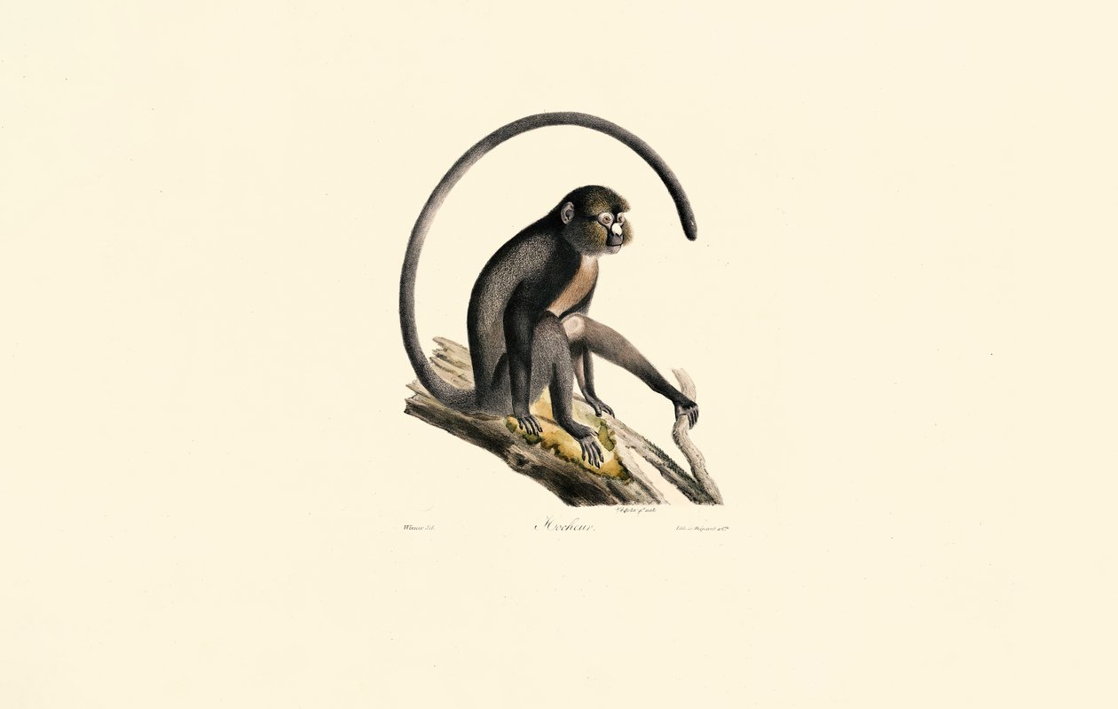  de Jacques Christophe Werner