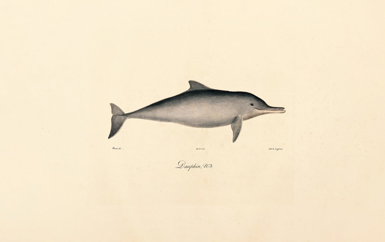  de Jacques Christophe Werner