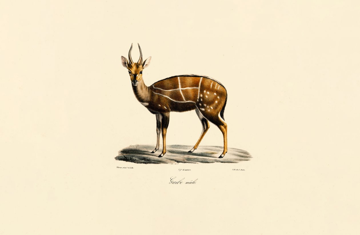  de Jacques Christophe Werner