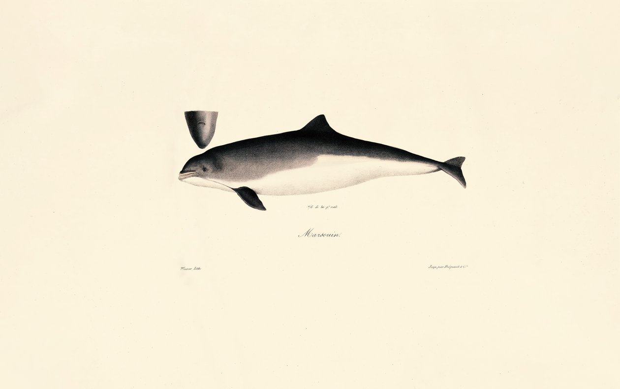  de Jacques Christophe Werner