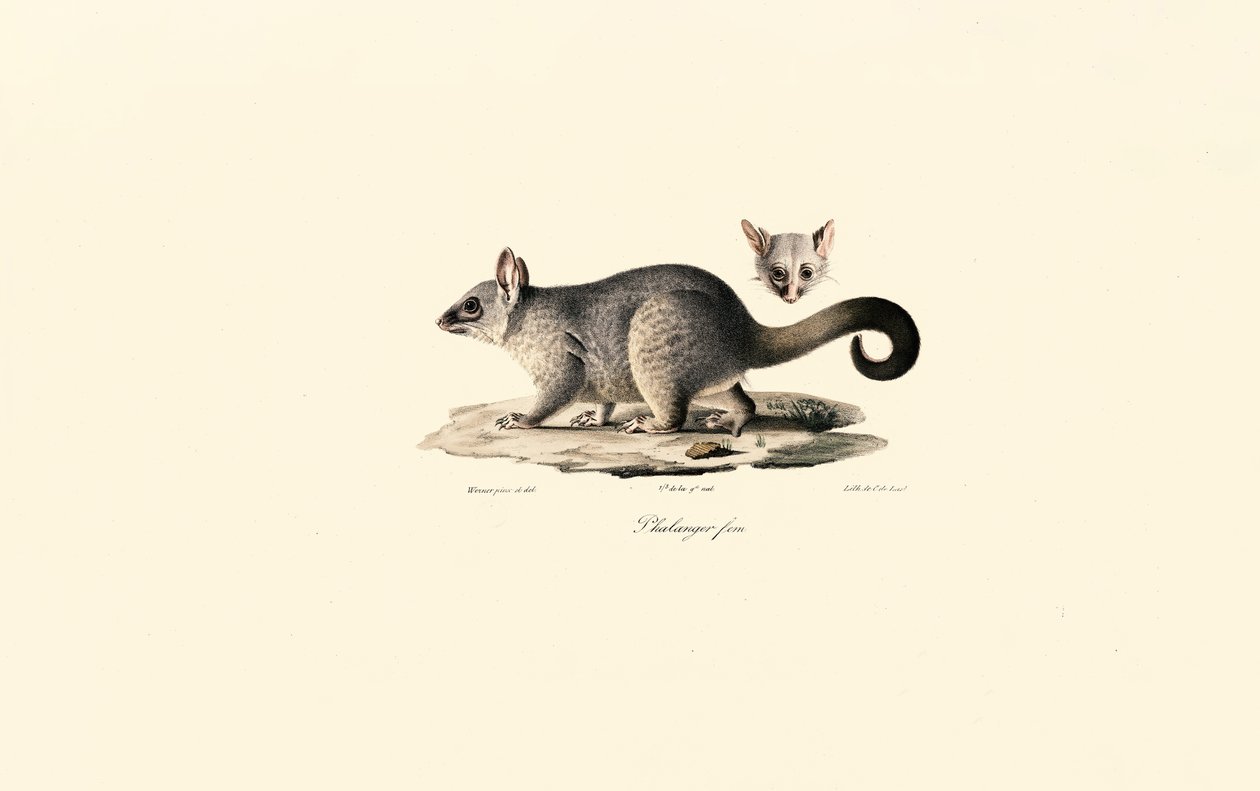  de Jacques Christophe Werner