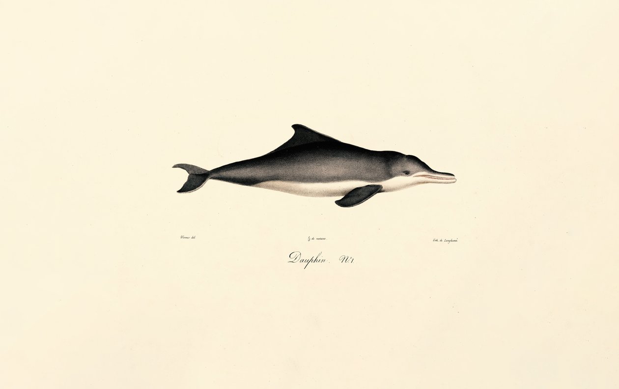  de Jacques Christophe Werner