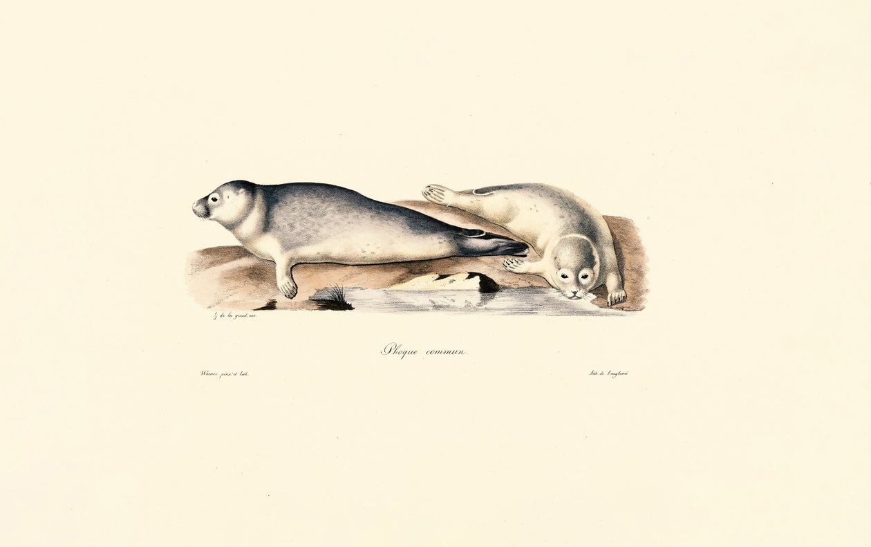 Sello común de Jacques Christophe Werner