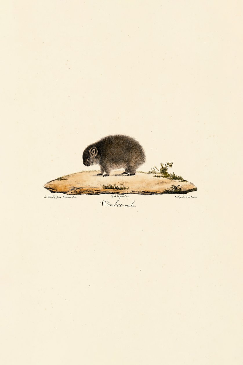  de Jacques Christophe Werner