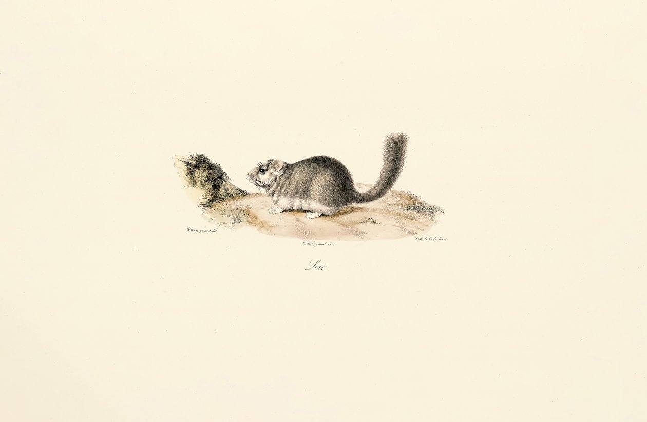  de Jacques Christophe Werner